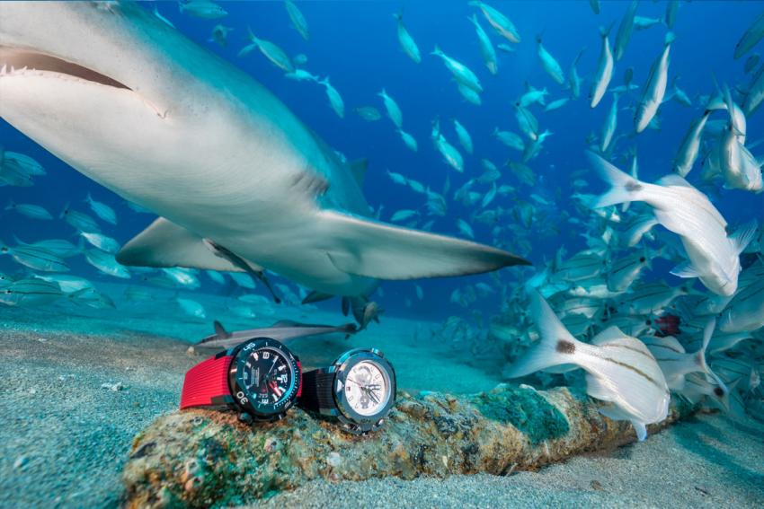 Clerc Hydroscaph with a Hydroscaph Chronograph and a friendly shark