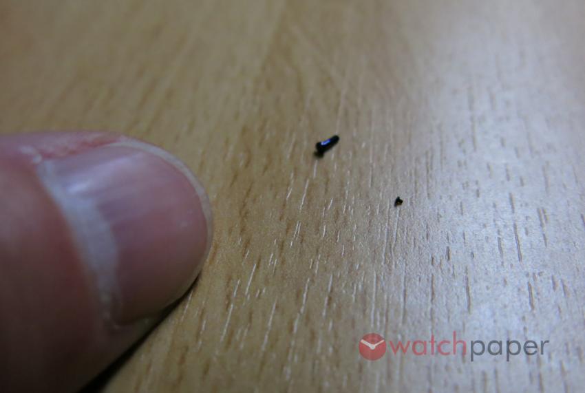 Two blued screws