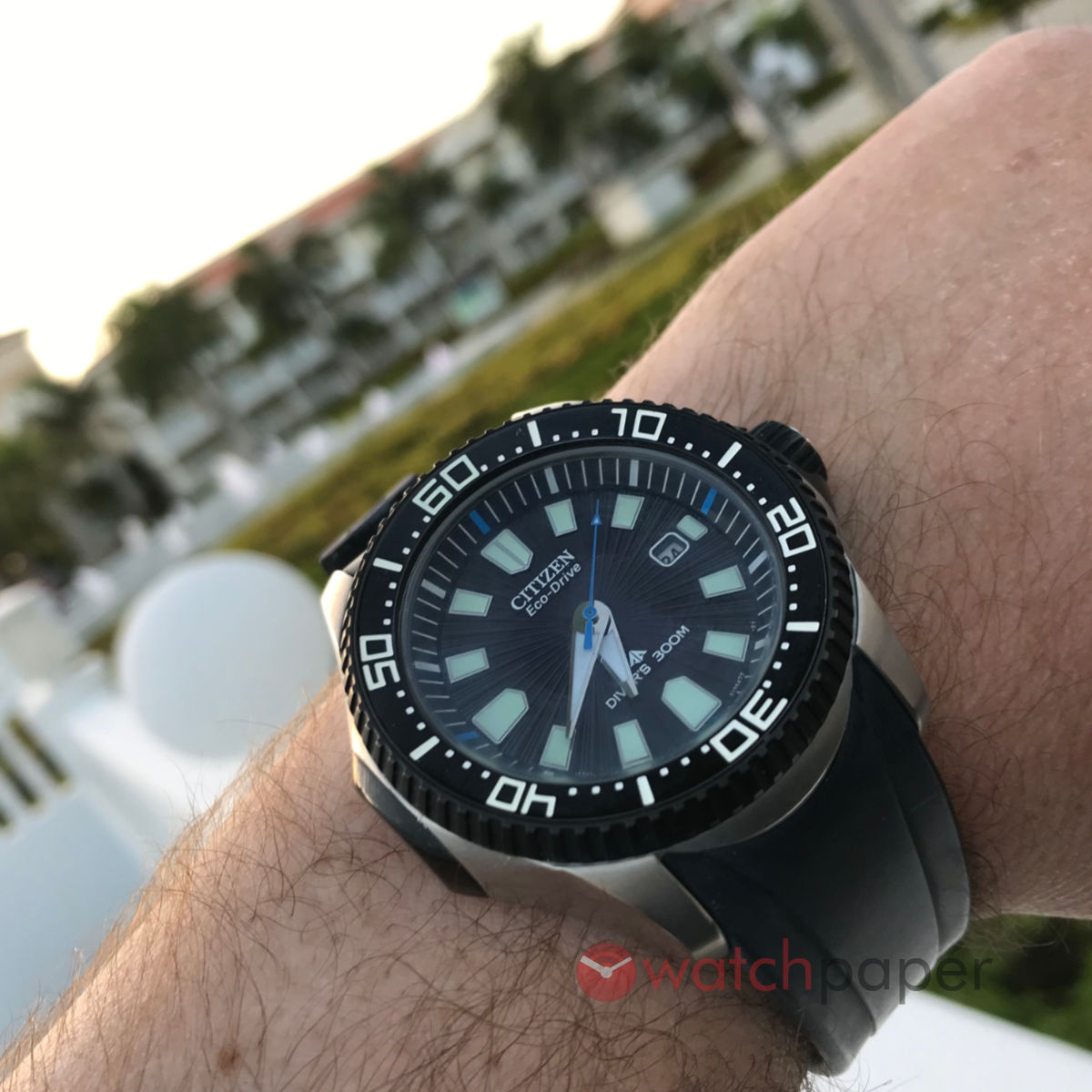 The vacation watch – Citizen Eco-Drive Review